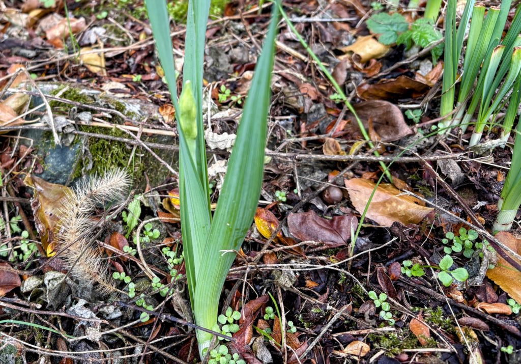 IMG_5443-EDIT-1024x715 退屈だなぁ！