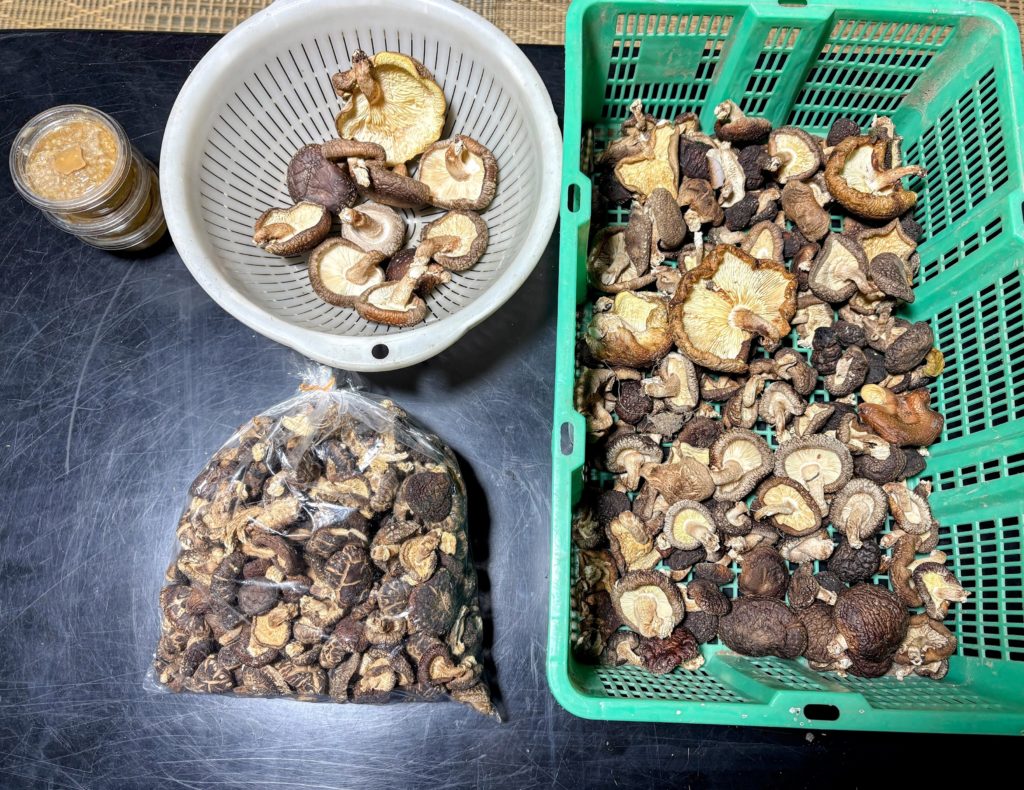 IMG_5444-EDIT-1024x790 退屈だなぁ！