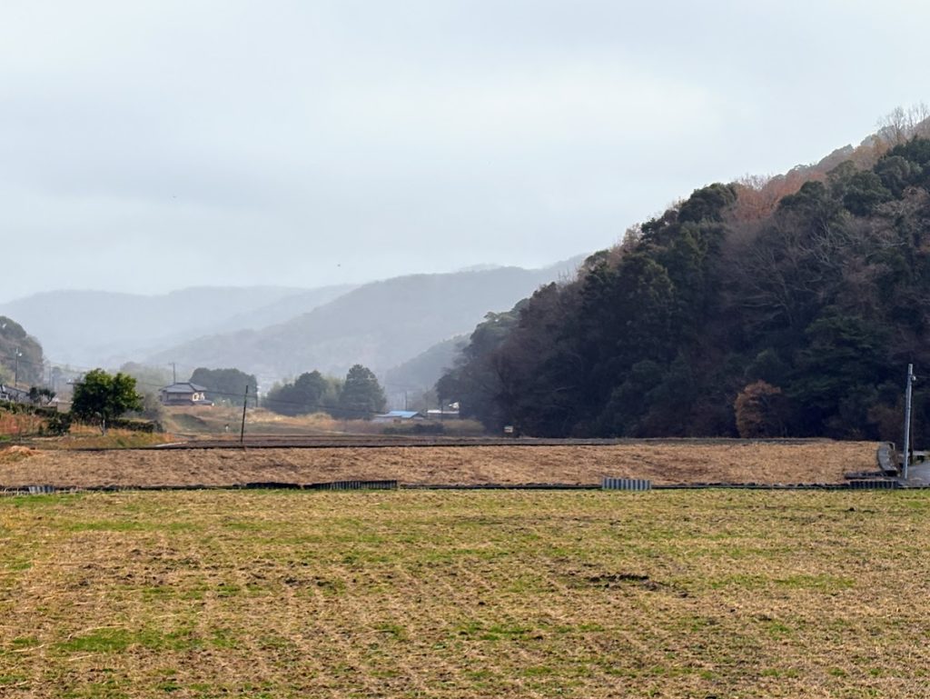 IMG_5459-1024x769 今年の漢字