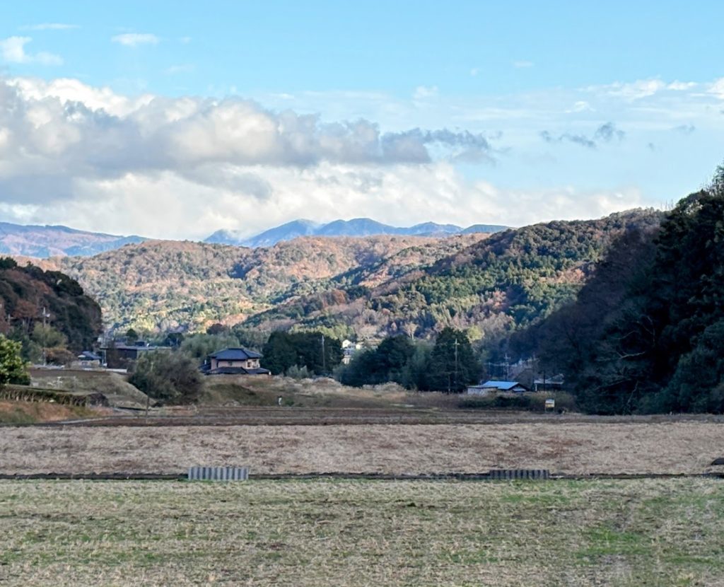 IMG_5464-EDIT-1024x830 今年の漢字