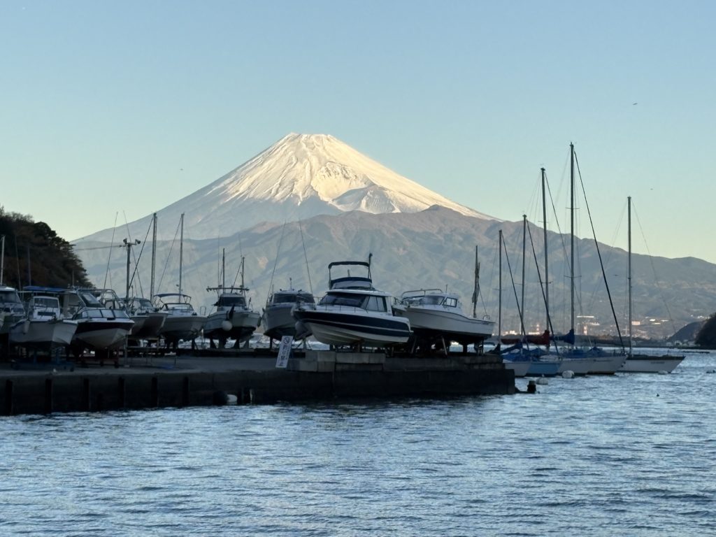 IMG_5469-1024x768 今日から、みかん狩り、再開