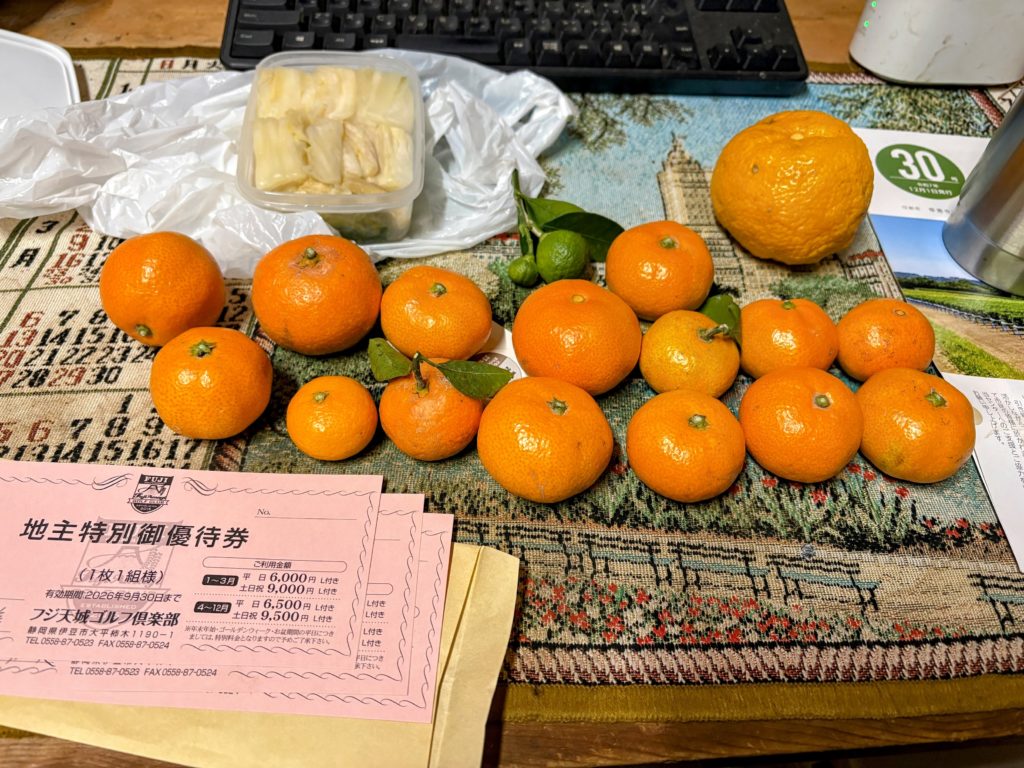 IMG_5509-EDIT-1024x768 今日もみかんもぎ