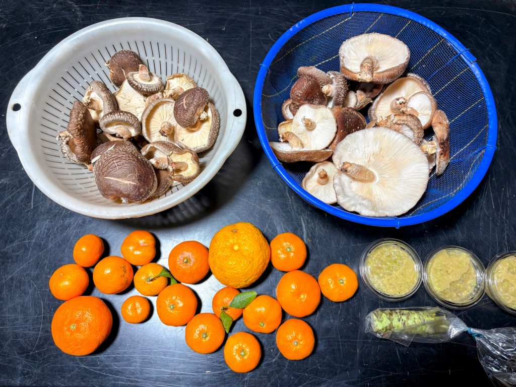 IMG_5524-EDIT-1024x768 今日から明後日の午前中まで、雨の予報のため、みかんもぎは、お休みになりました。