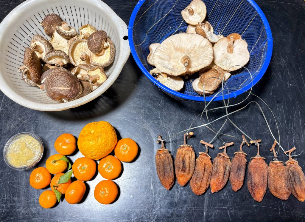 IMG_5531-EDIT-1024x744 雨のおかげで良い休養日になりました