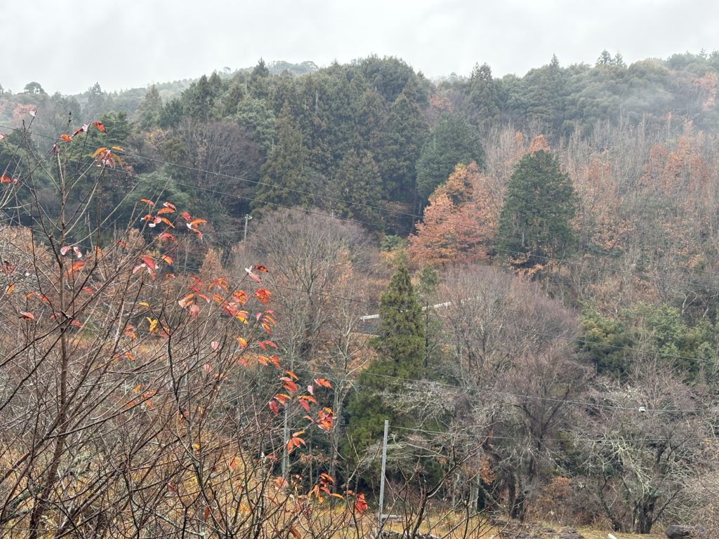 IMG_5536-1-1024x768 雨のおかげで良い休養日になりました