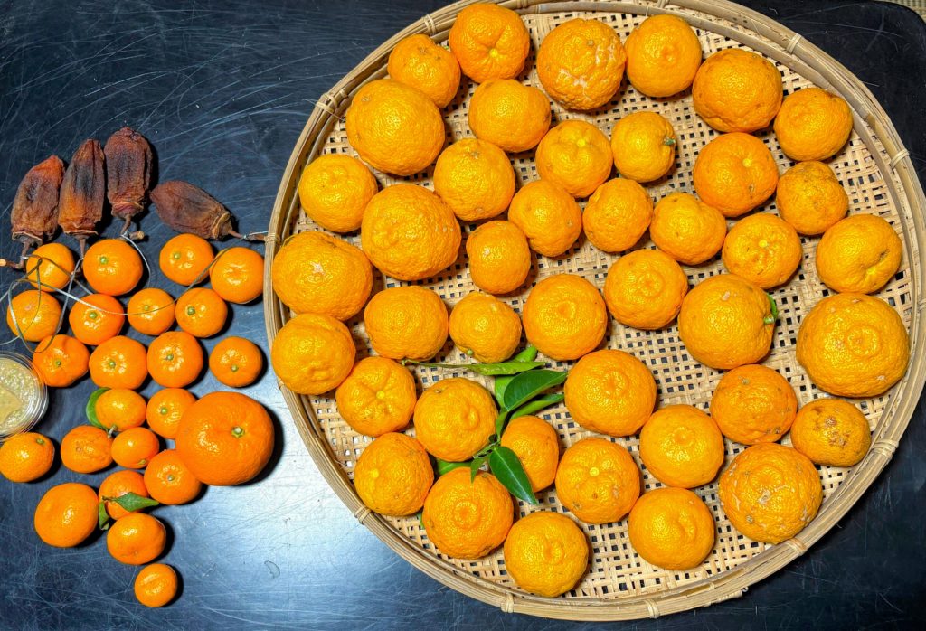 IMG_5545-EDIT-1-1024x698 今日は午後からみかんもぎ