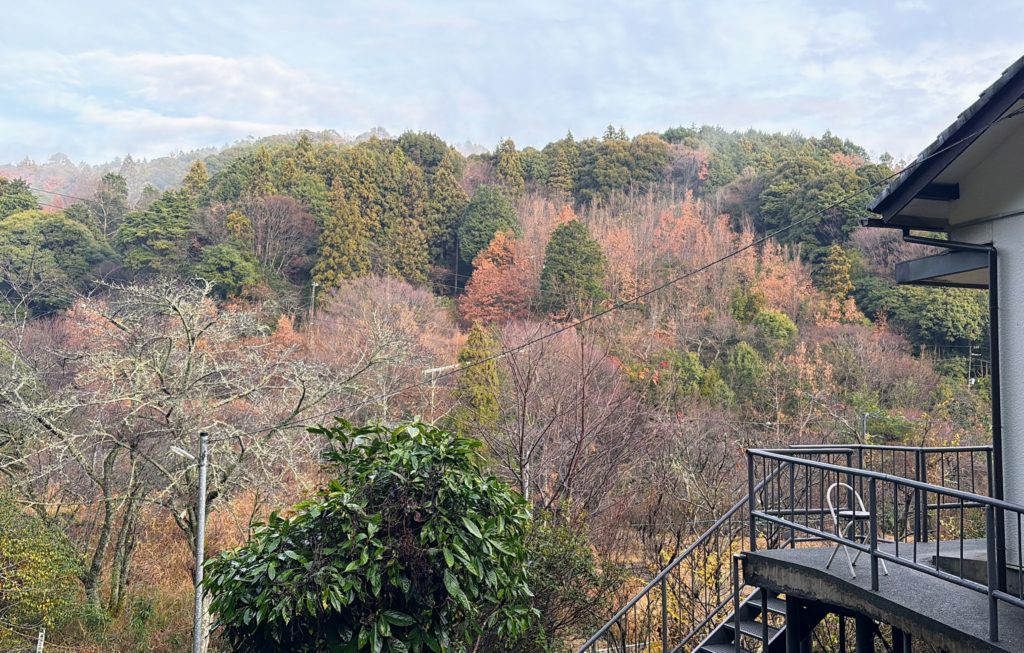 IMG_5574-1024x653 今日はクリスマスですね