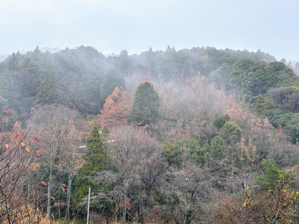 IMG_5581-1024x768 今日はクリスマスですね