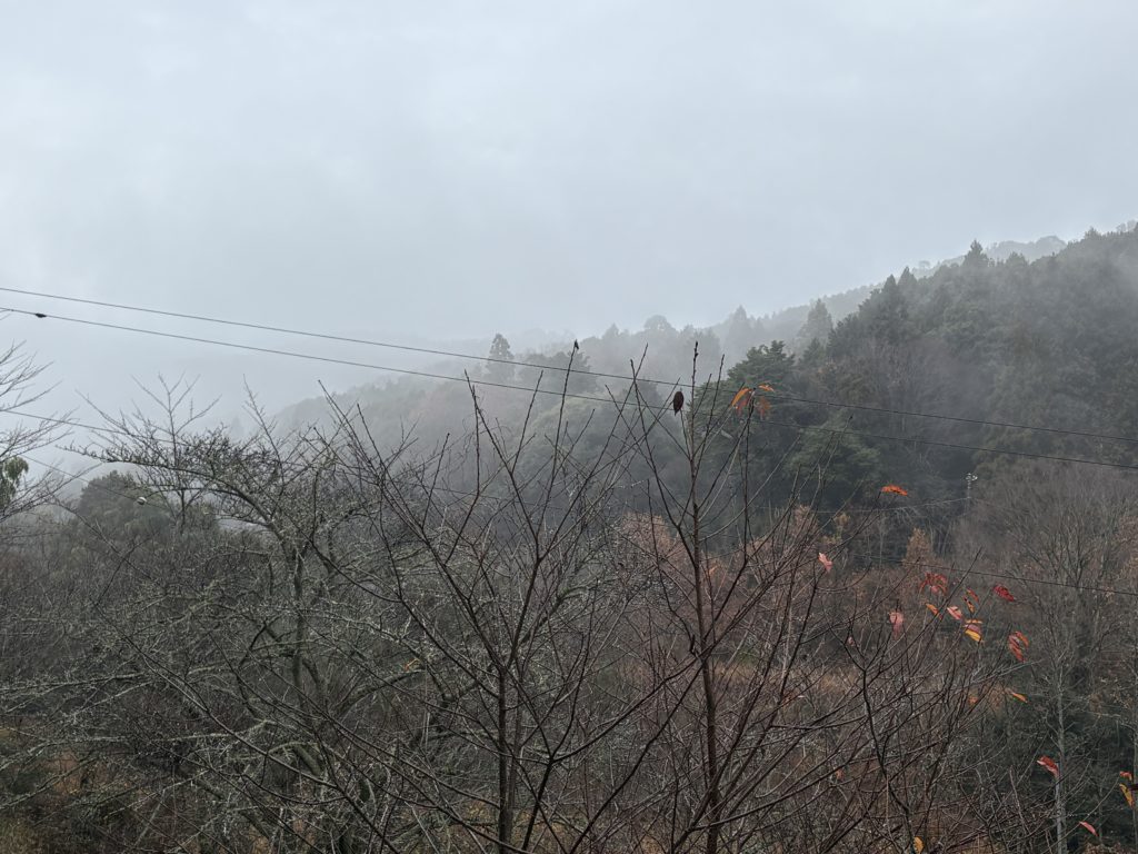 IMG_5583-1024x768 今日はクリスマスですね