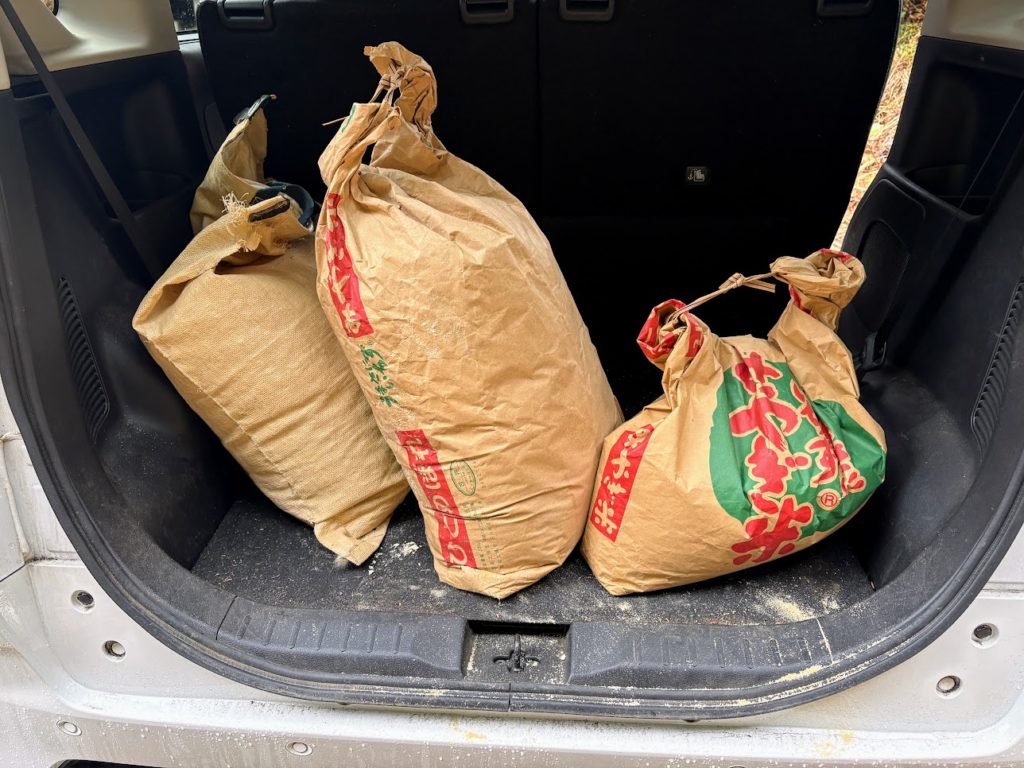 IMG_5584-1024x768 今日はクリスマスですね