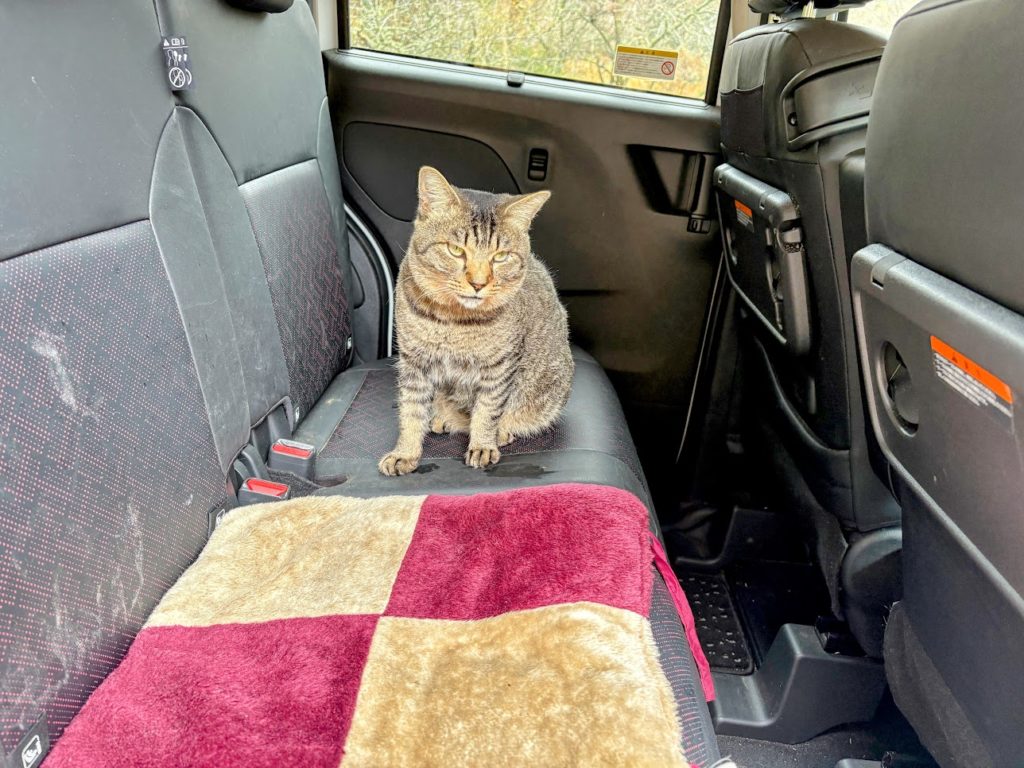 IMG_5587-EDIT-1024x768 今日はクリスマスですね