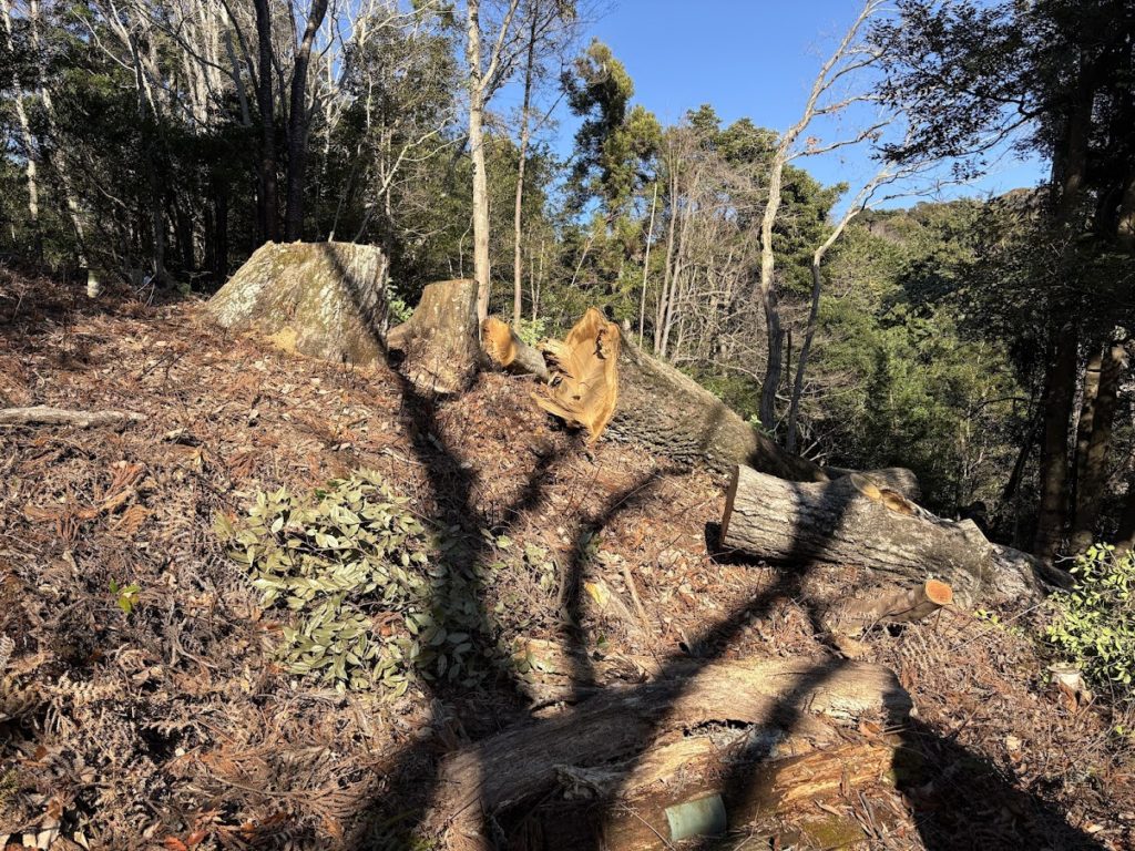 IMG_5604-1024x768 村の守り神を祀った社＆参道の掃除