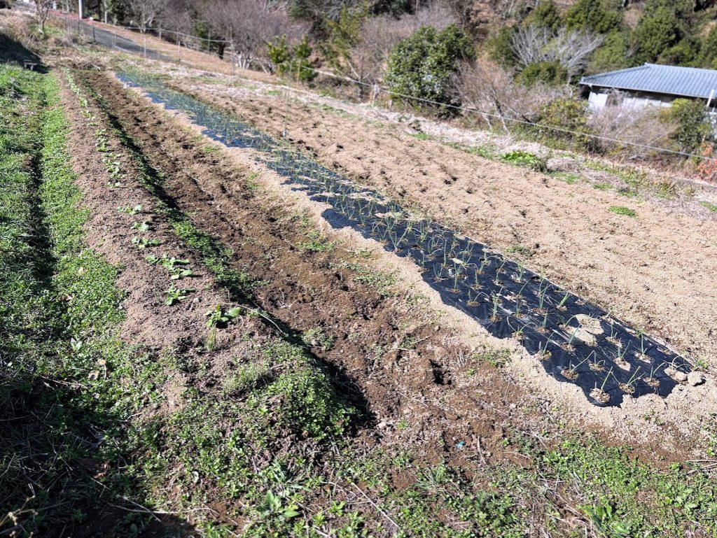 IMG_5618-1024x769 外は寒い