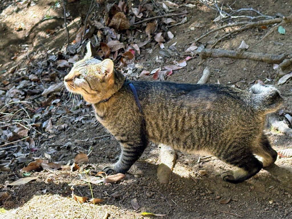 IMG_5647-1024x768 大晦日