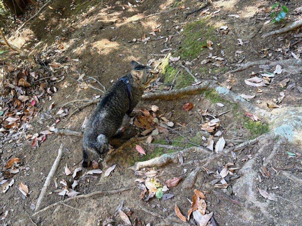 IMG_5648-1024x768 大晦日