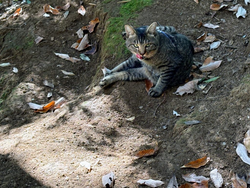 IMG_5650-1024x768 大晦日