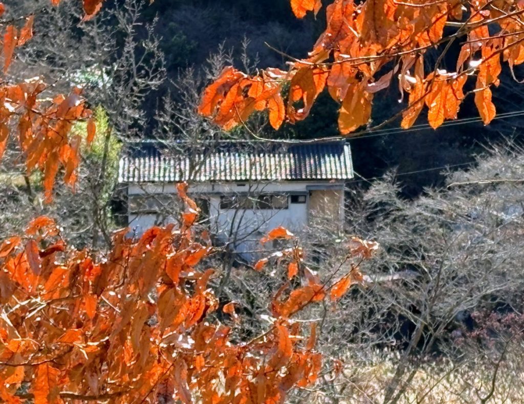 IMG_5652-1024x790 大晦日