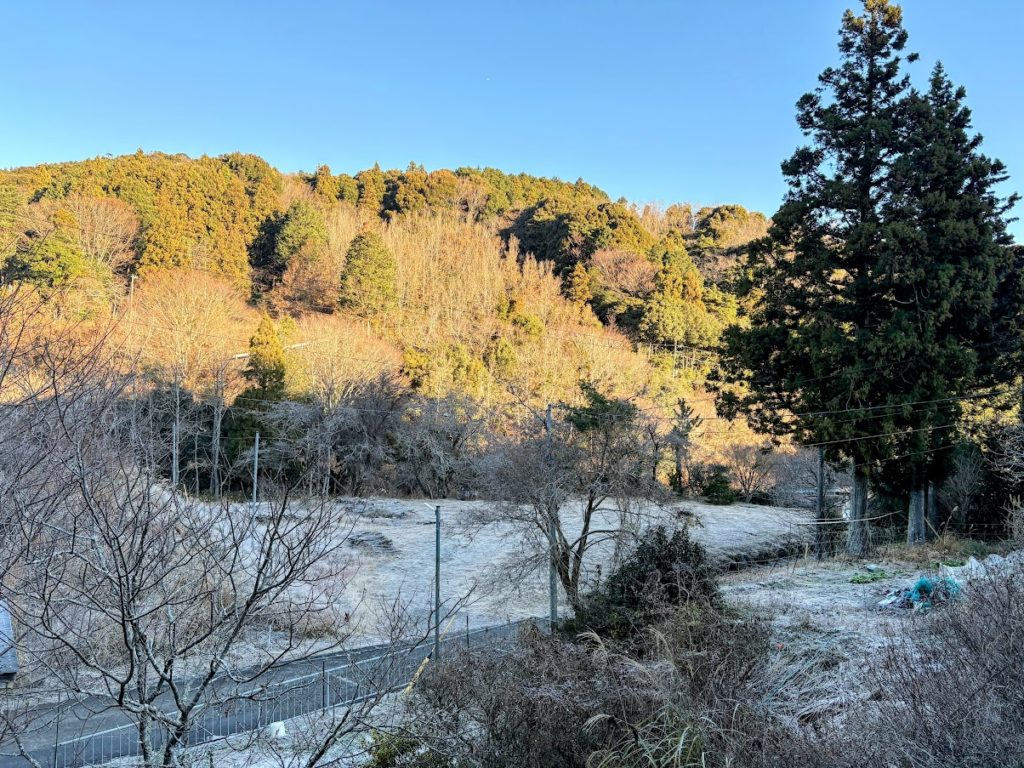 IMG_5674-EDIT-1024x768 寒い朝