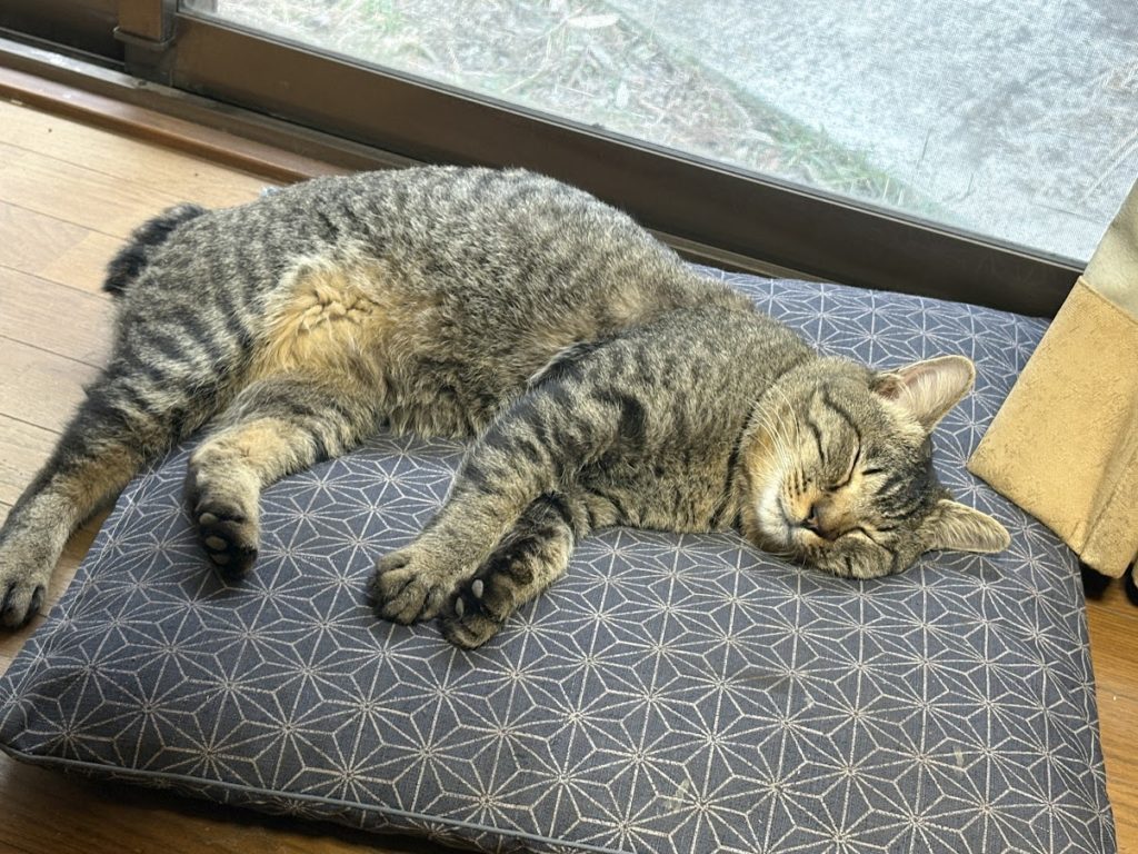 IMG_5801-1024x768 運転免許更新のための各種検査＆講習