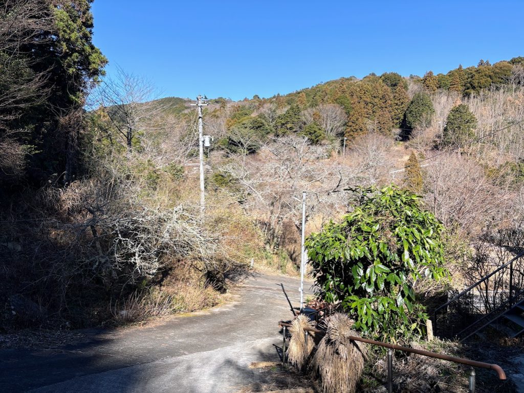 IMG_5806-1024x769 土肥桜開花