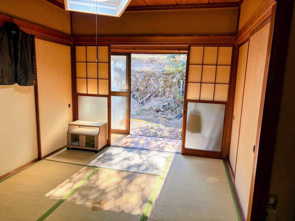 IMG_5812-EDIT-1024x768 土肥桜開花