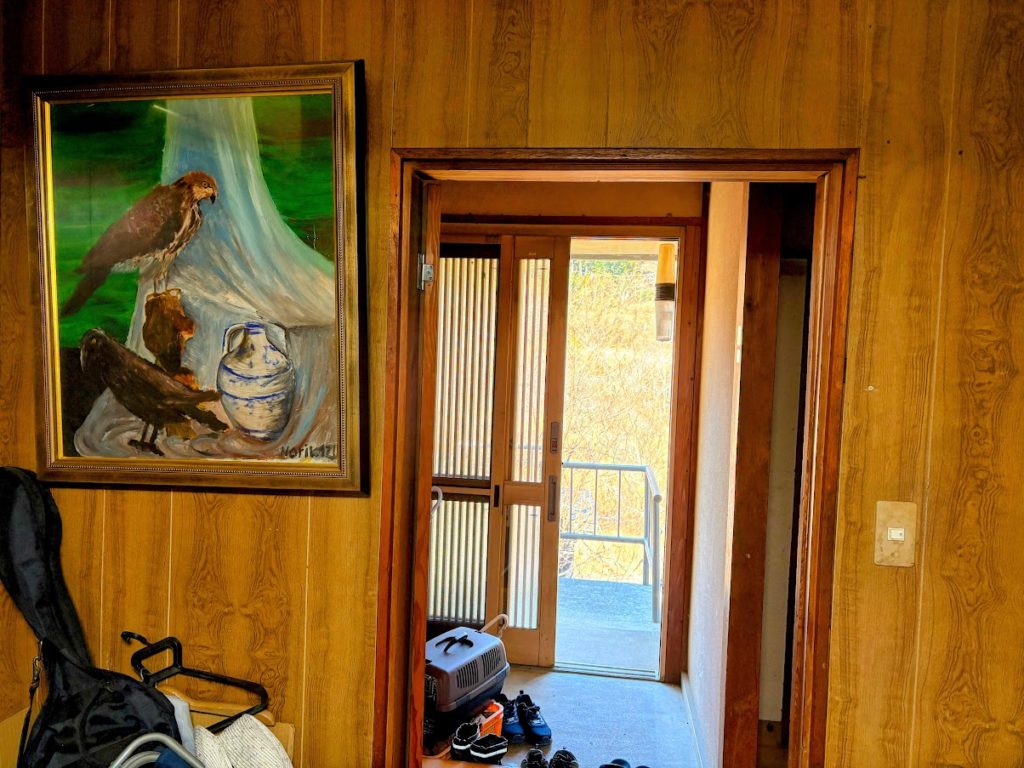 IMG_5817-EDIT-1024x768 土肥桜開花