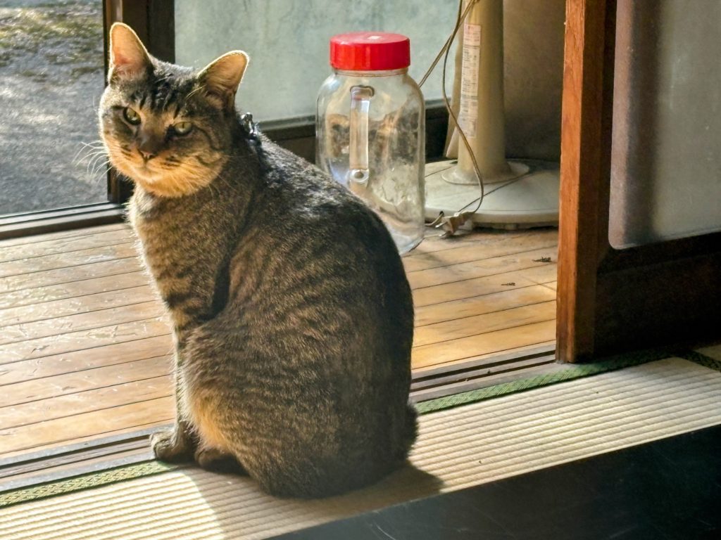 IMG_5828-EDIT-1024x768 引っ越し準備