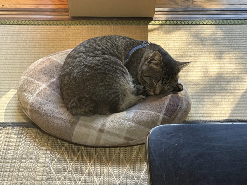 IMG_5834-1024x768 引っ越し準備