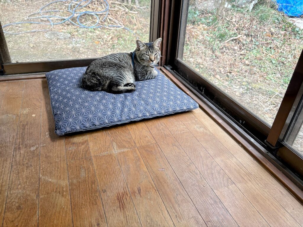 IMG_5875-EDIT-1024x768 寒い！