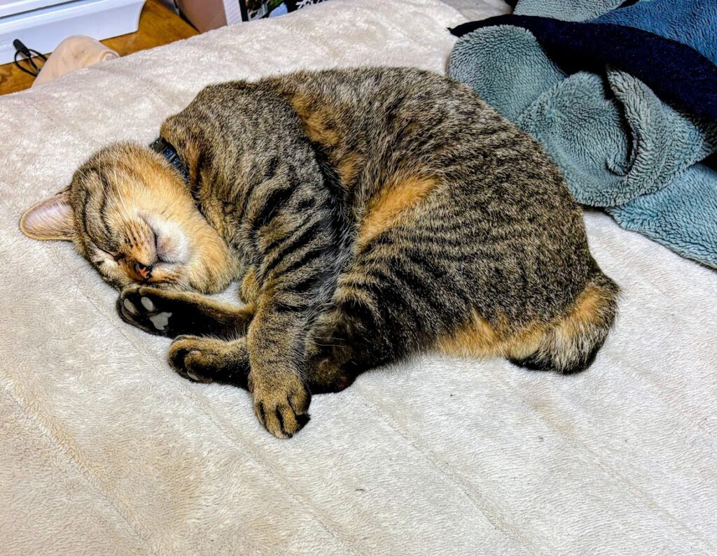 IMG_5876-EDIT-1-1024x795 寒い！