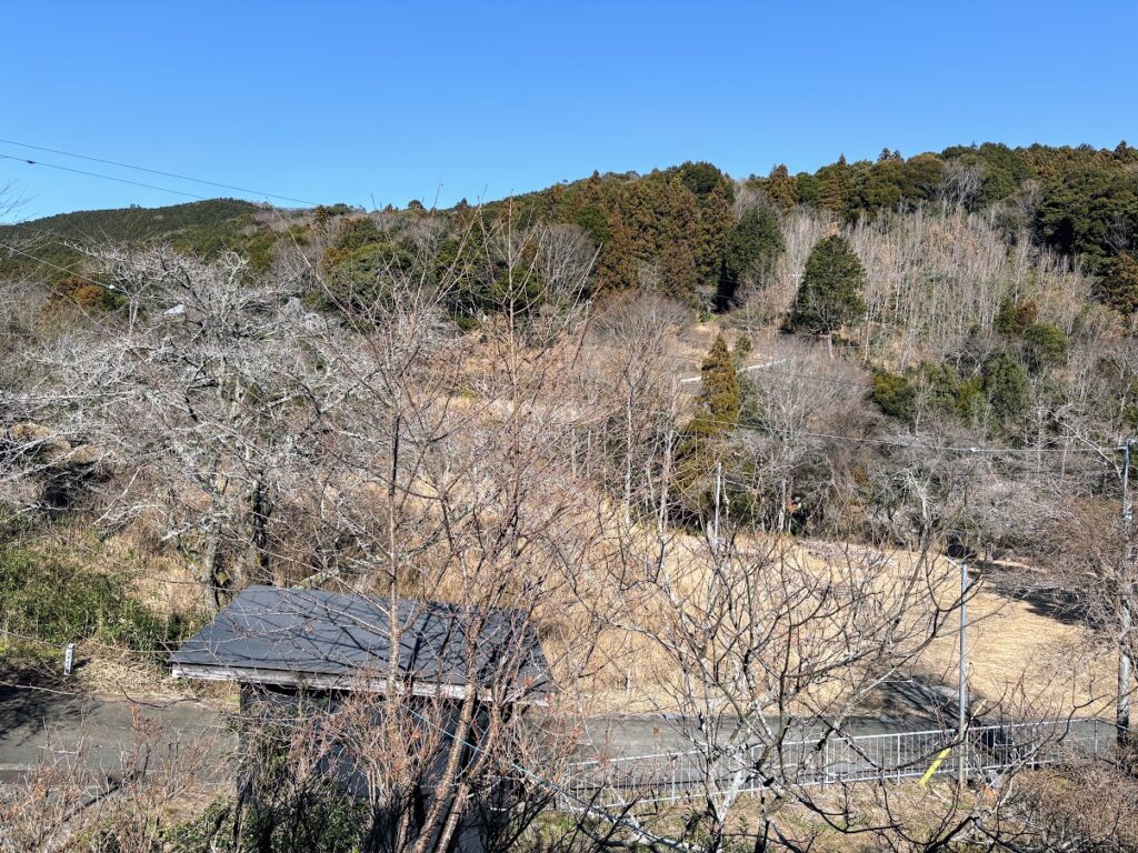 IMG_5887-1-1024x768 衆院選情報