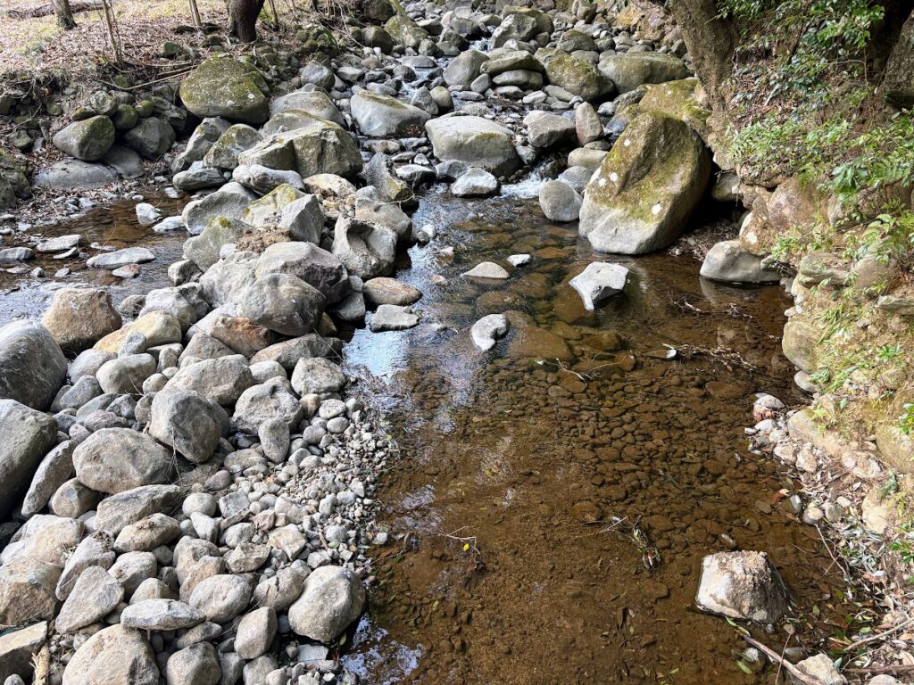 IMG_5898-1024x768 太郎と散歩