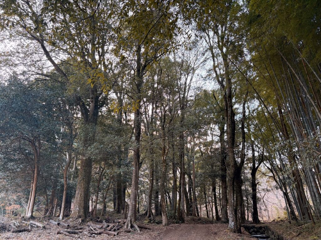 IMG_5902-EDIT-1024x768 太郎と散歩