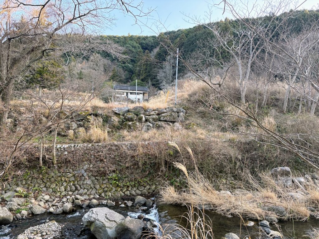 IMG_5906-1024x768 太郎と散歩