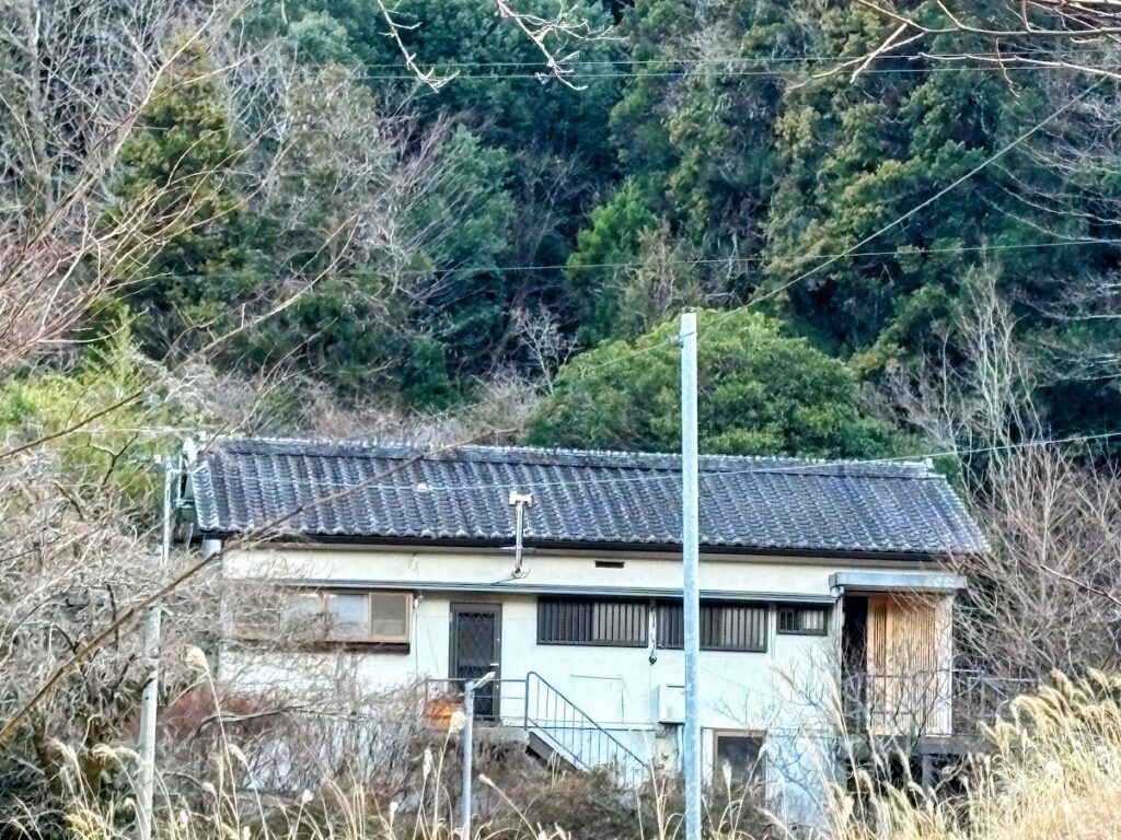 IMG_5907-EDIT-1024x768 太郎と散歩