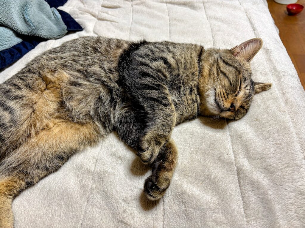 IMG_5914-EDIT-1024x768 節分