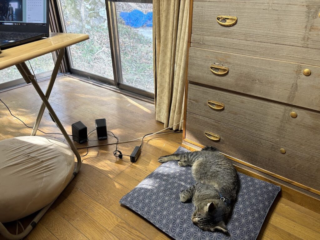 IMG_5936-1024x768 沢沿いの白梅が開花した