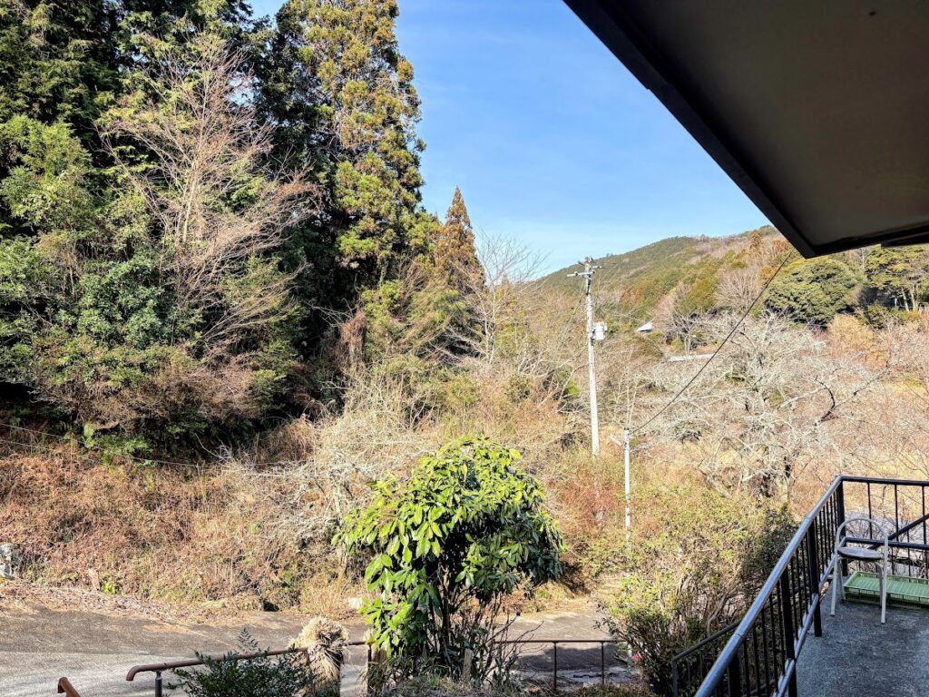 IMG_5941-EDIT-1024x768 沢沿いの白梅が開花した