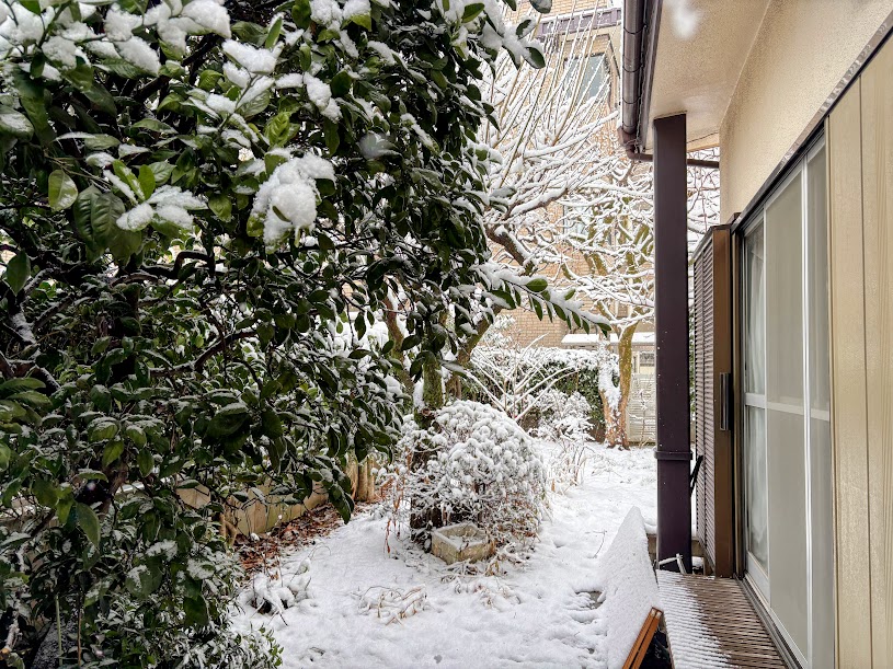 IMG_5960-EDIT 雪景色