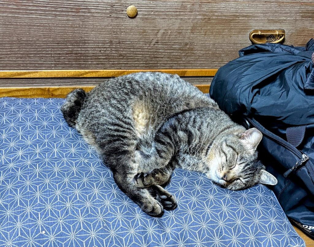 IMG_5983-EDIT-1024x805 中国は落ちぶれたね