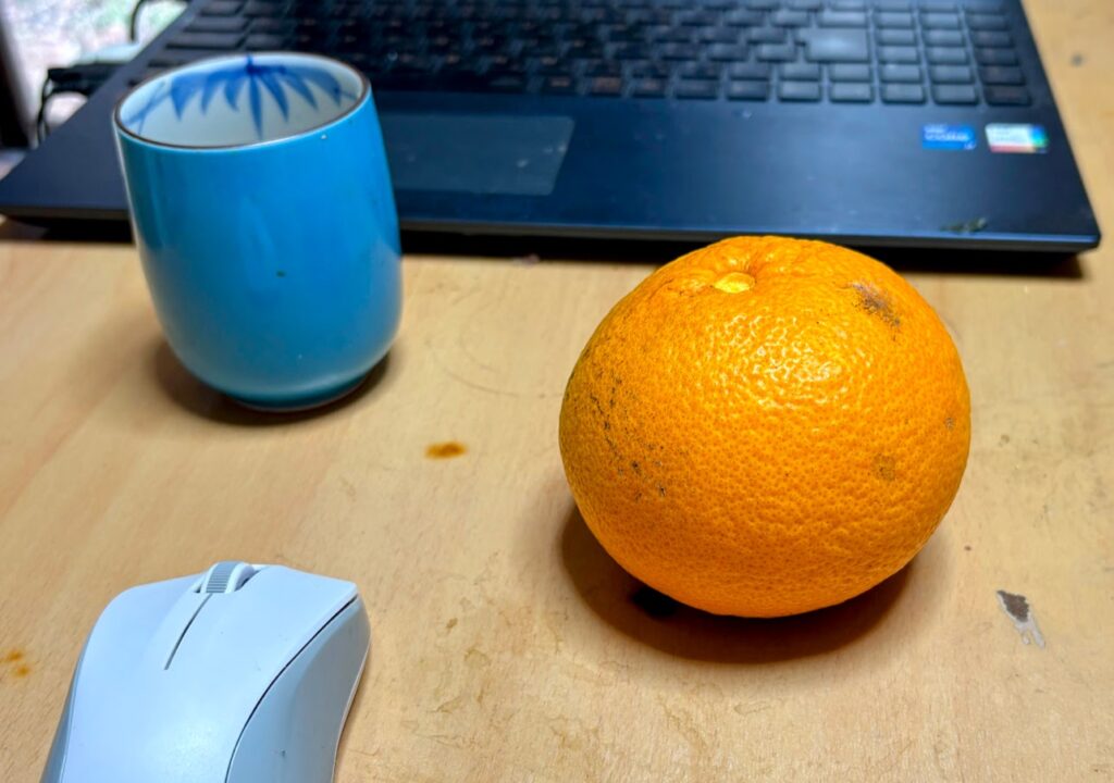 IMG_5996-EDIT-1024x720 甘夏みかん