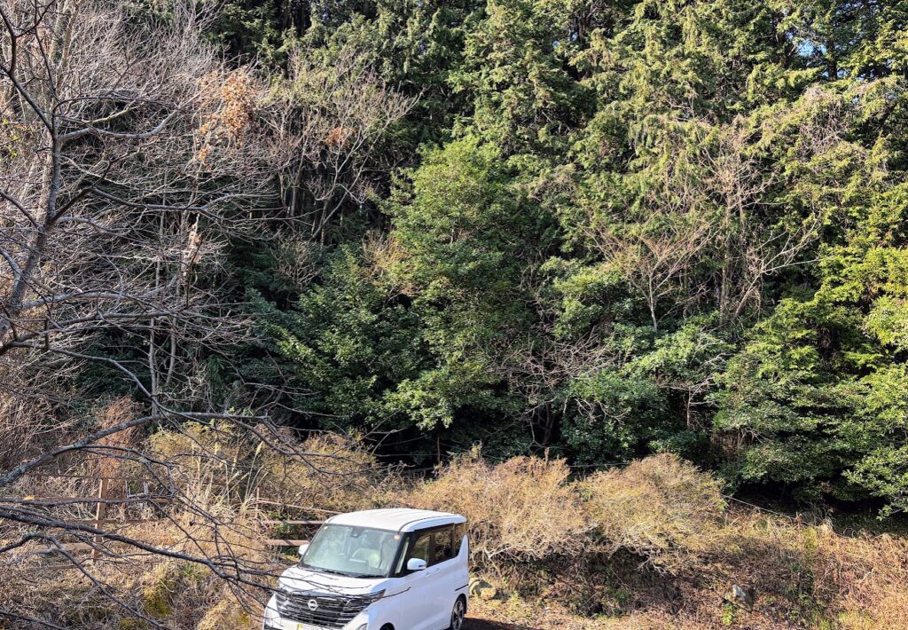 IMG_6008-1024x710 住宅省エネ2026キャンペーン