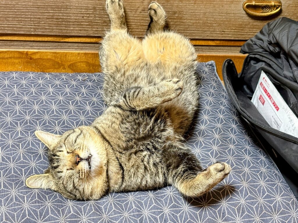 IMG_6015-EDIT-1024x768 