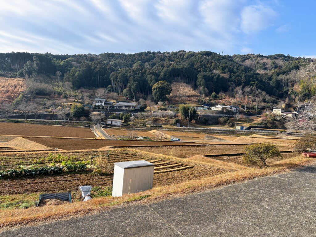 IMG_6045-1024x768 甘夏みかんの収穫