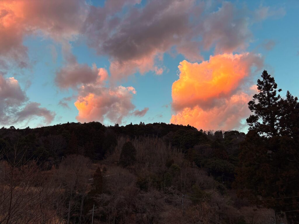 IMG_6081-EDIT-1024x768 甘夏みかんの収穫