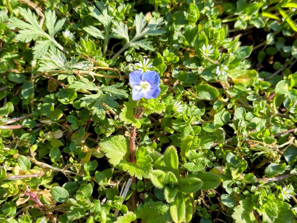 IMG_6096-EDIT-1024x768 5日振りの修善寺ベース