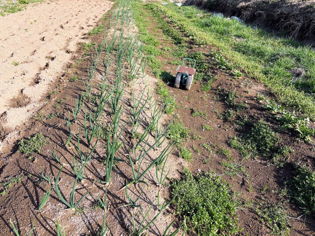 IMG_6098-1024x768 5日振りの修善寺ベース