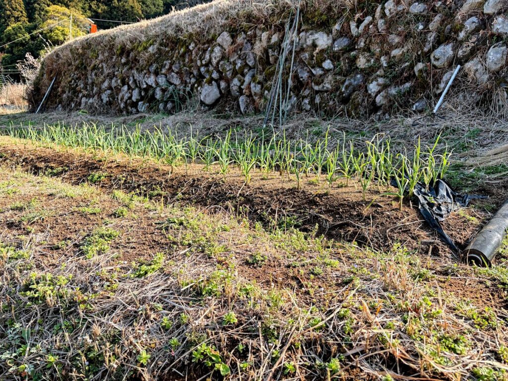 IMG_6100-EDIT-1024x768 5日振りの修善寺ベース