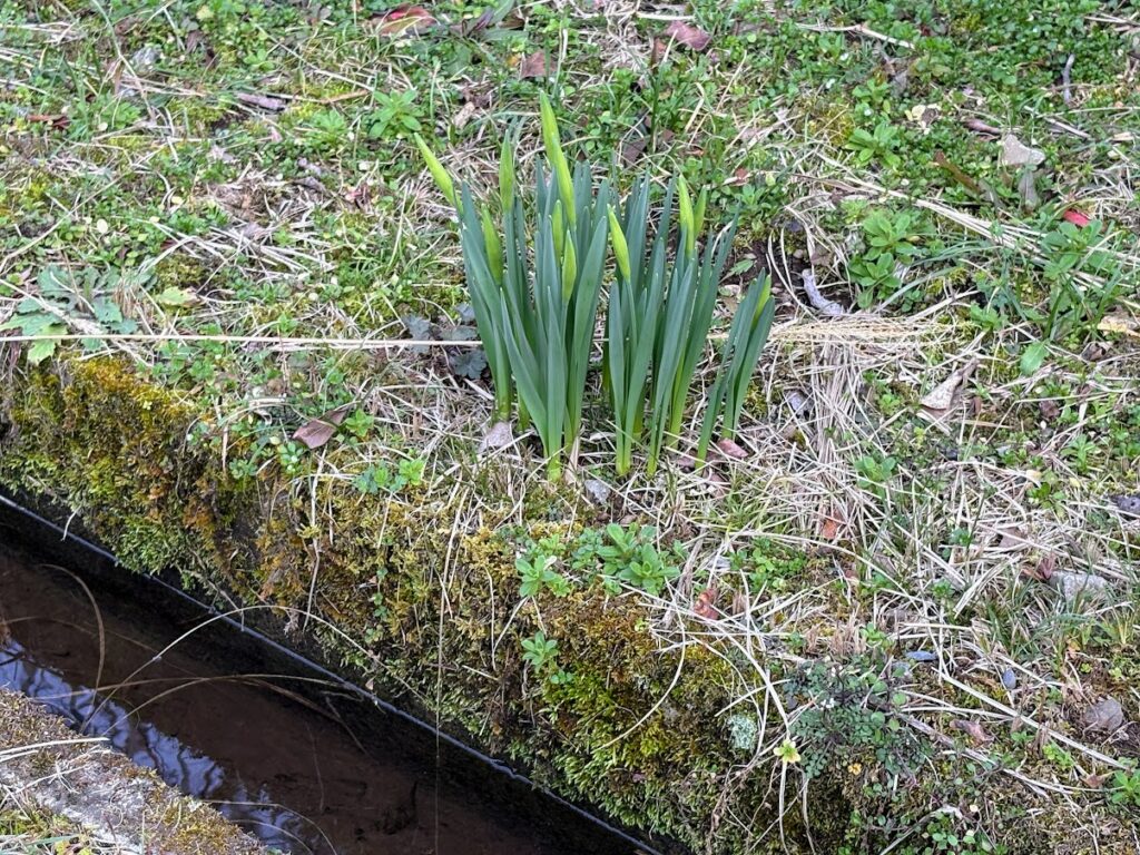 IMG_6107-1024x768 5日振りの修善寺ベース