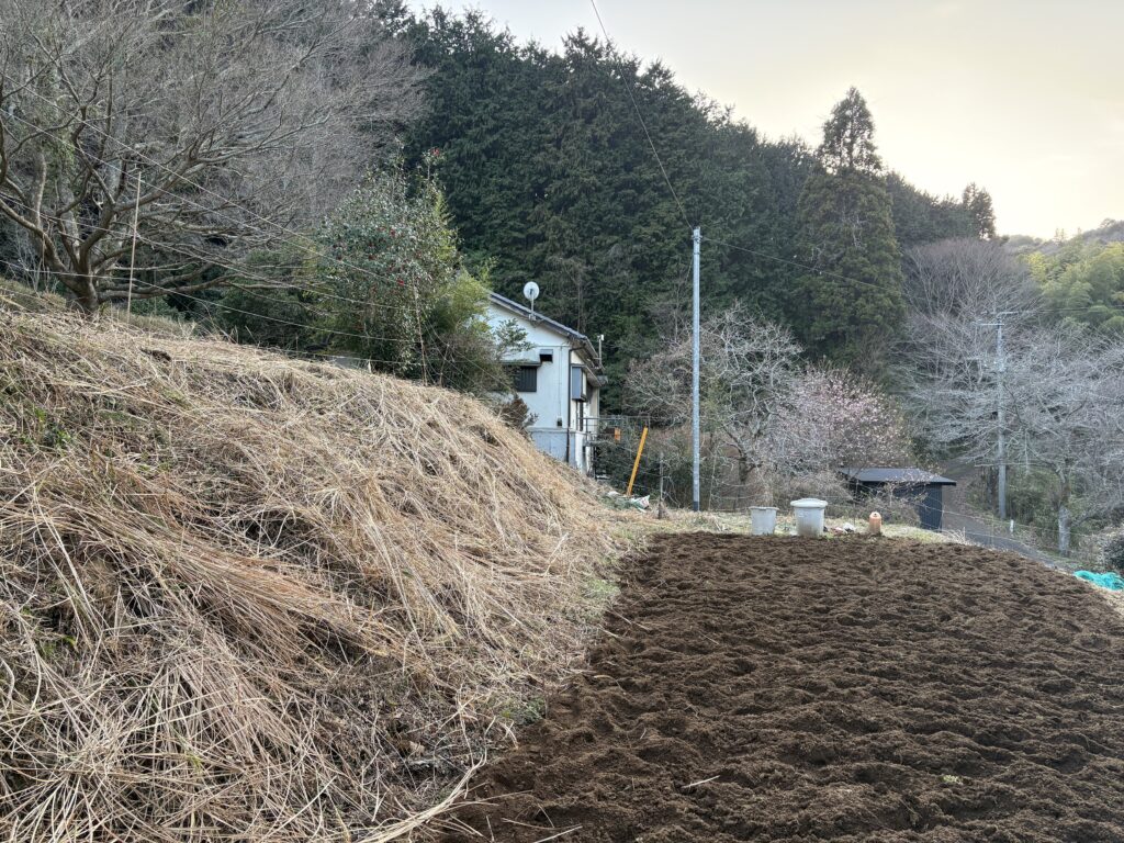 IMG_6204-1024x768 枯れ草刈り